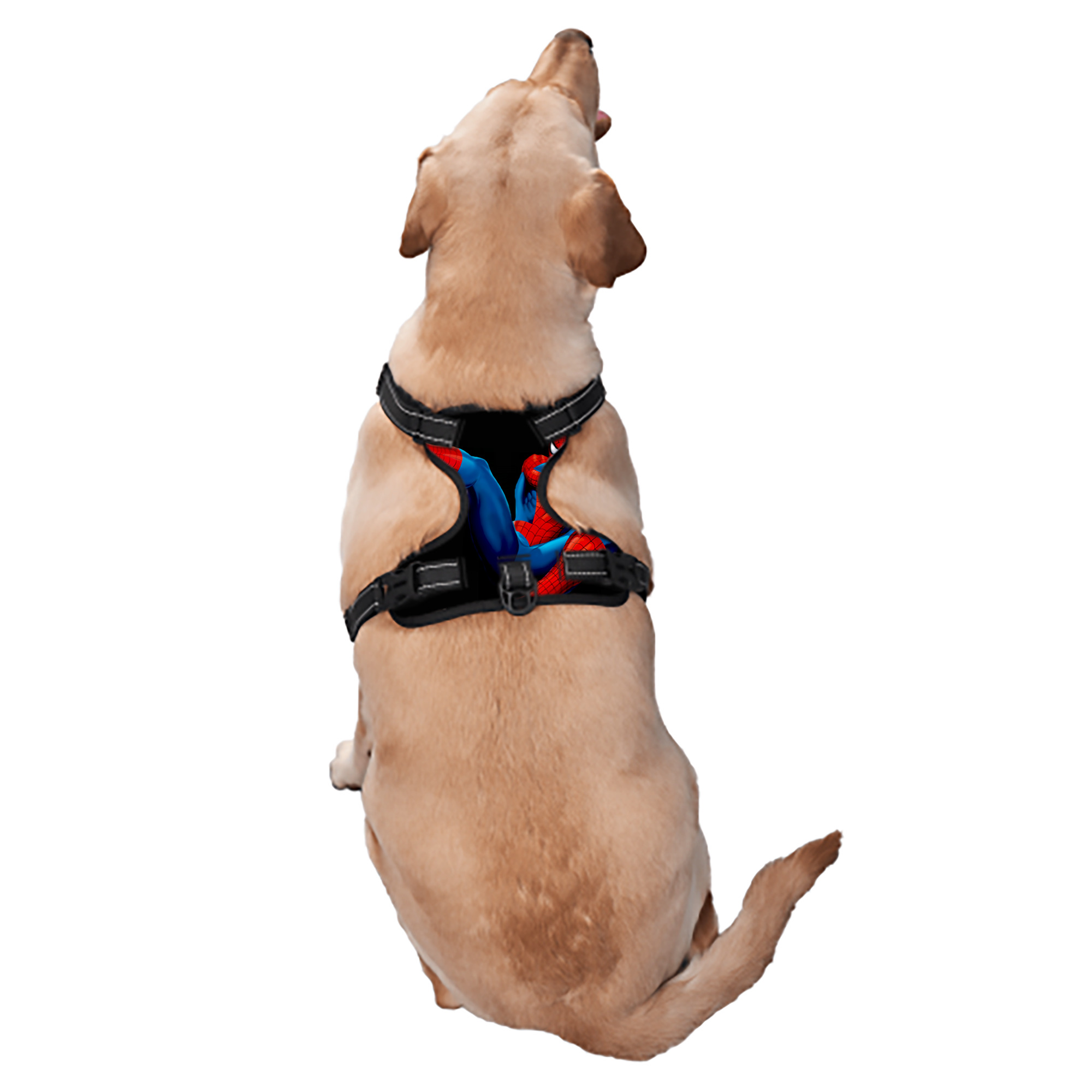 （画像用） Spider Man スパイダーマン ペット用ハーネス